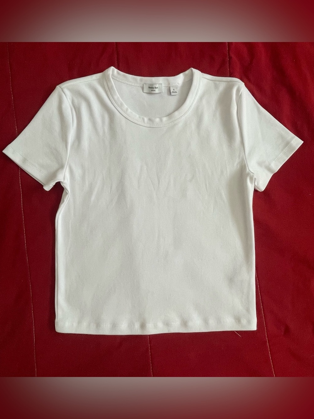 Aritzia White Short-Sleeve Crew Tee